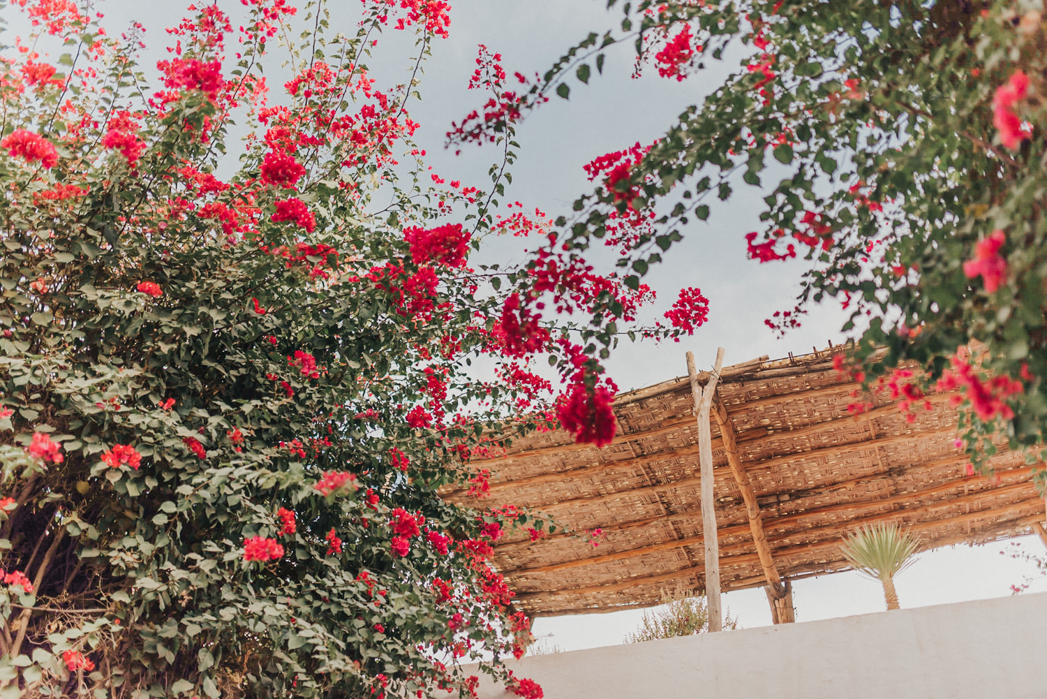 Reisefotografie Marrakesch