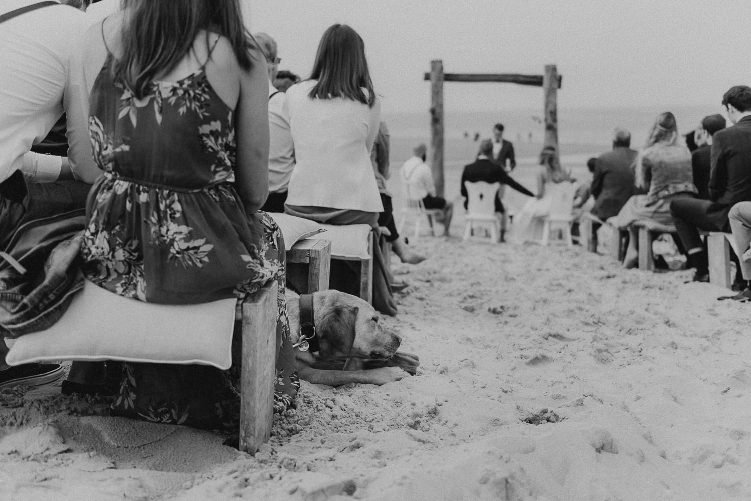 Strandhochzeit Niederlande, Strandhochzeit Holland, Hochzeitsfotograf