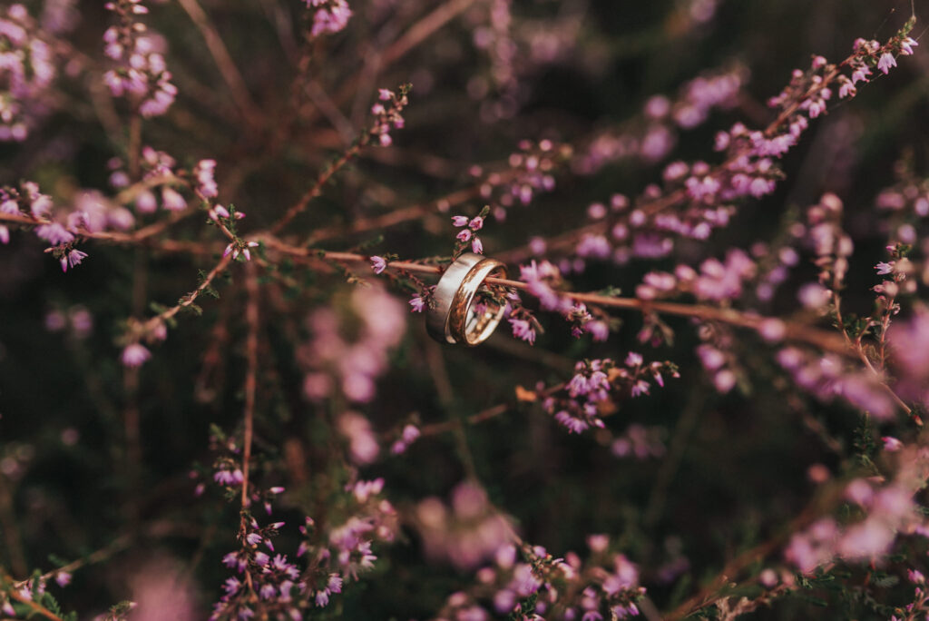 Hochzeitsfotograf-koeln-bonn-duesseldorf-nrw-hochzeit-fotografie-after-wedding