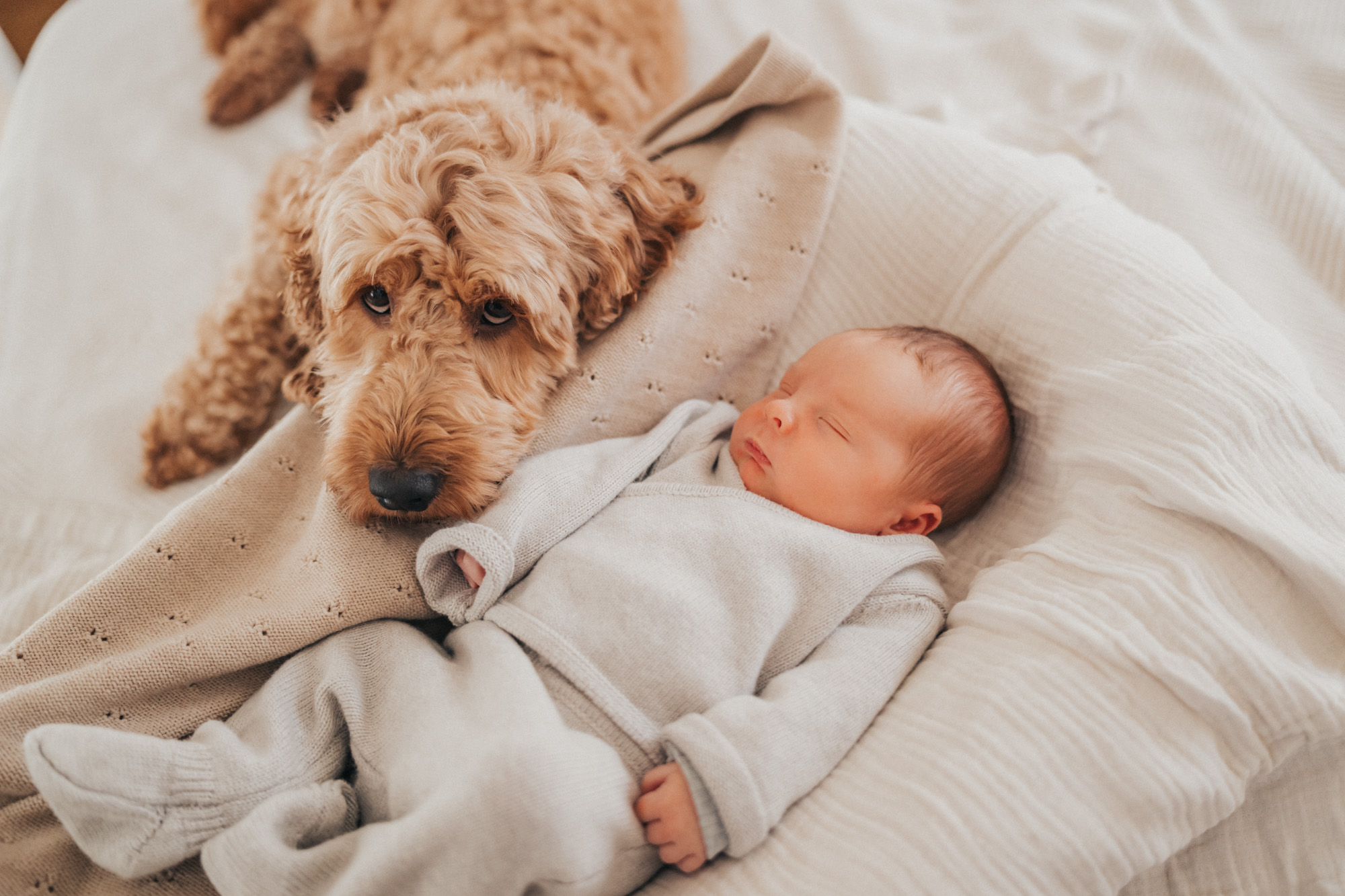 Neugeborenen-Shooting-Newborn-Fotoshooting-Bilder-Koeln-bonn-duesseldorf-nrw